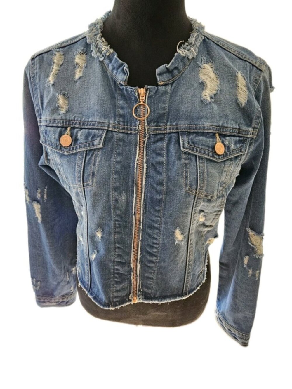 Jean Jacket - Picture 15 of 16